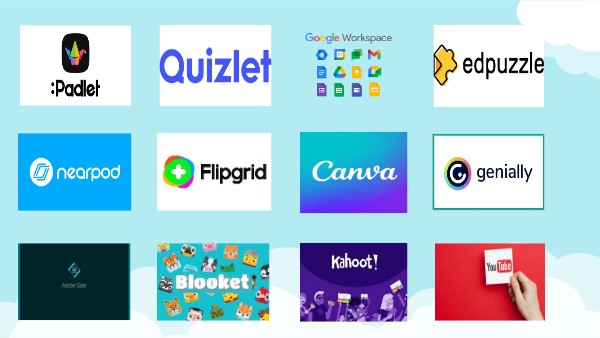 Digital literacy expertise