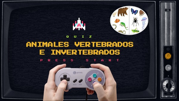 Quiz Sobre Animales Vertebrados E Invertebrados Quiz Sobre Animales Vertebrados E Invertebrados