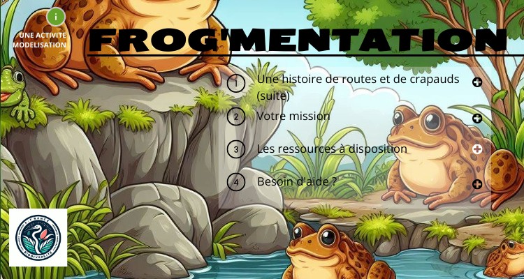 FROGMENTATION