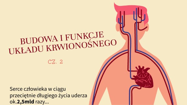 Budowa i funkcje układu krwionośnego