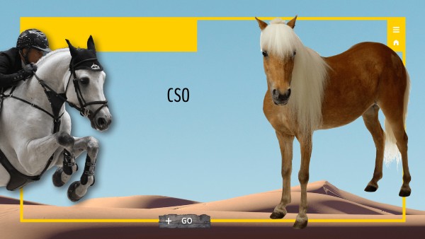 ANIMALS PRESENTATION | Genially