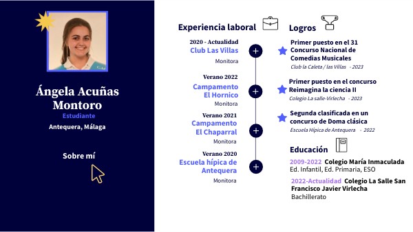 CV INTERACTIVO