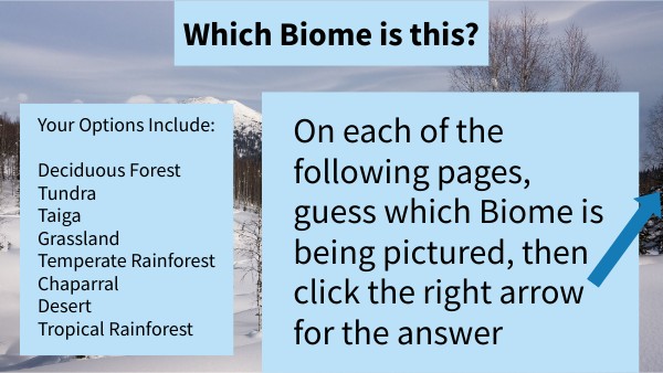 Biomes Practice | Genially