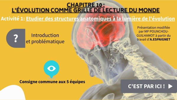 Term ES Chapitre 10 activité 1