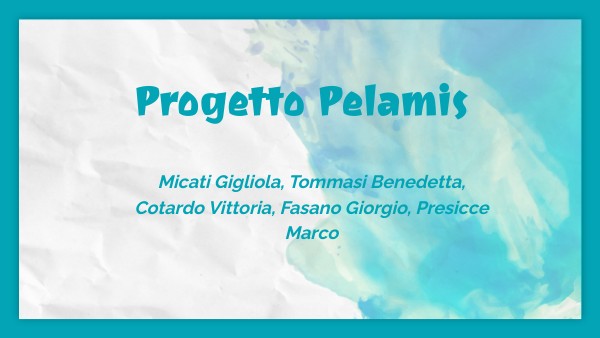 Progetto pelamis