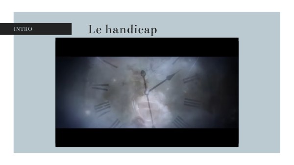 Loi 11 février 2005