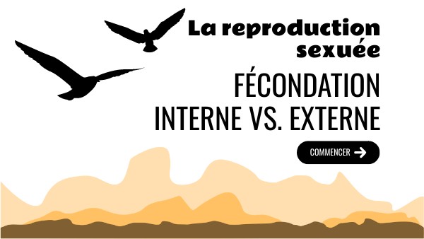 reproduction int/ext