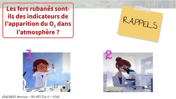 Activité 2 - L'origine des BIFs - Tle5 | Genially