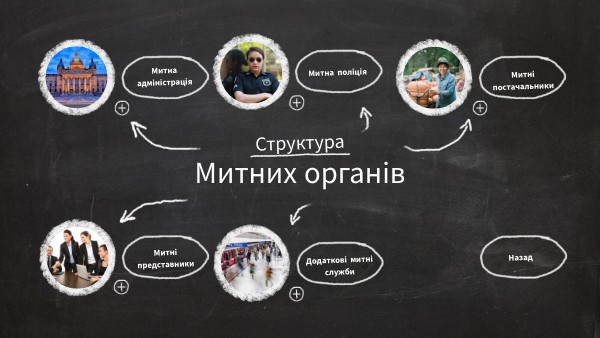 Структура митних органів | Genially