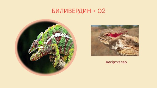 Қан топтары