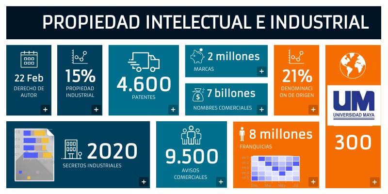 PROPIEDAD INTELECTUAL E INDUSTRIAL