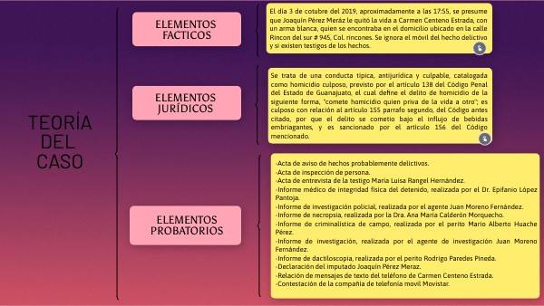 CUADRO SINÓPTICO TEORIA DEL CASO | Genially