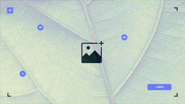 BASIC INTERACTIVE IMAGE