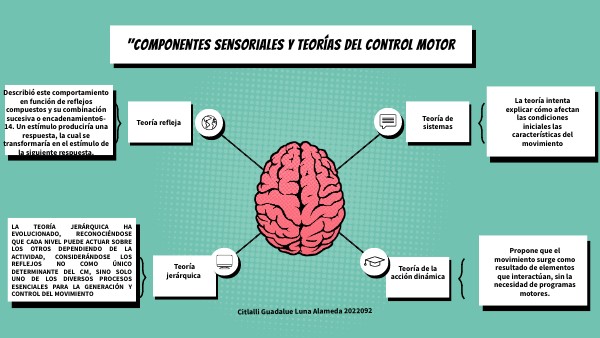 BRAIN MINDMAP | Genially