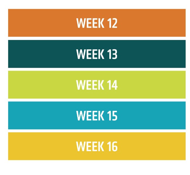 Weekly menus Renal/Urin | Genially