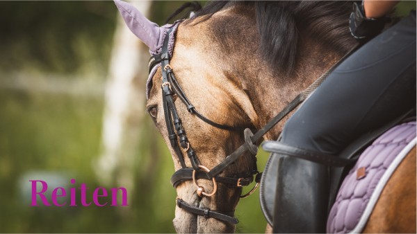 Google visual data 6