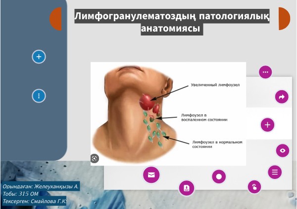Желеуханқызы А. сро патан