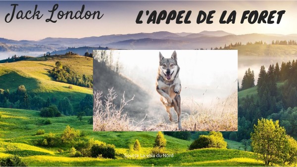 L'appel de la forêt | Genially