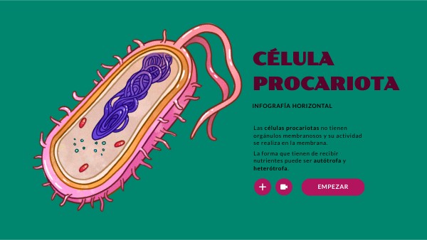 PARTES DE LA CÉLULA PROCARIOTA_nestor mendoza guzman | Genially