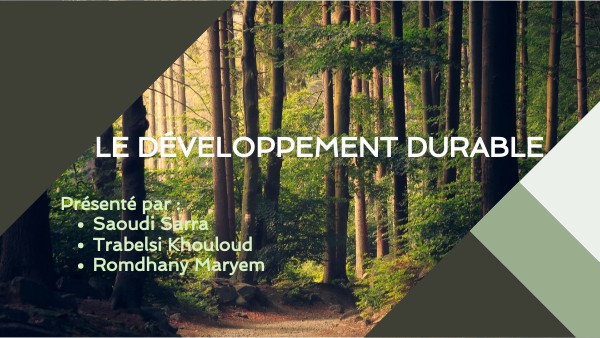 DIAGONAL PROJECT PRESENTATION | Genially