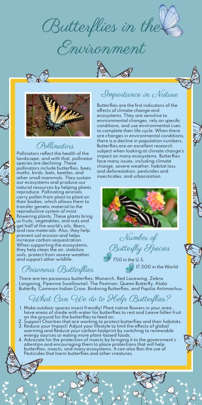 Creative Outreach Project