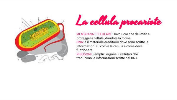 La cellula | Genially