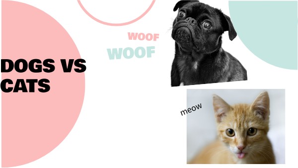 Dogs vs Cats