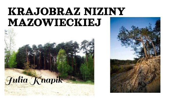 niziny mazowieckie