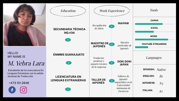 CV INFOGRAPHIC DATA