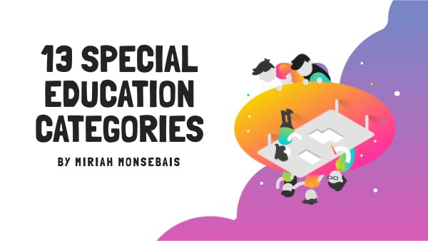 13 Special Education Categories