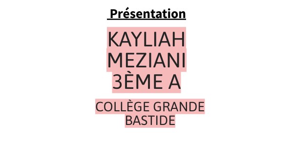 diaporama oral de stage