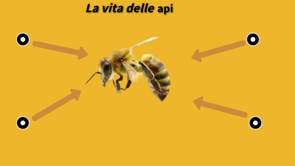 La Vita Delle Api