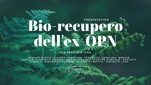 Copy - NATURE PRESENTATION