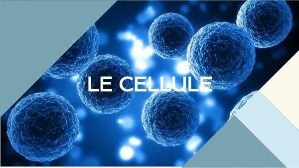cellula