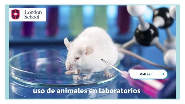 FLASHCARD AMPLIAR
