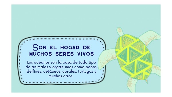 FLASHCARD AMPLIAR