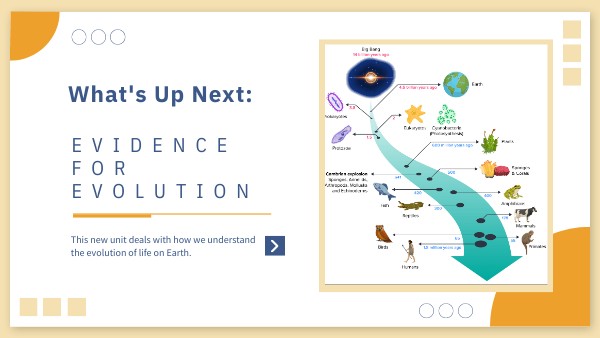 Unit Intro: Evidence for Evolution
