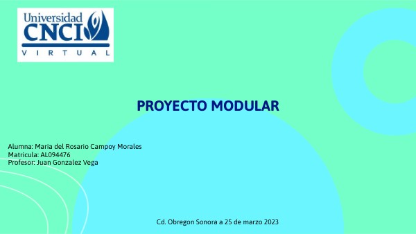 PROYECTO MODULAR