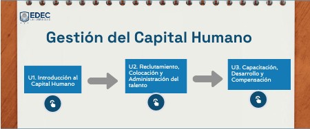 Gestión del Capital Humano