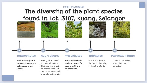COLOR EDU TIMELINE | Genially