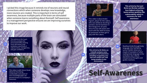 BASIC INTERACTIVE IMAGE