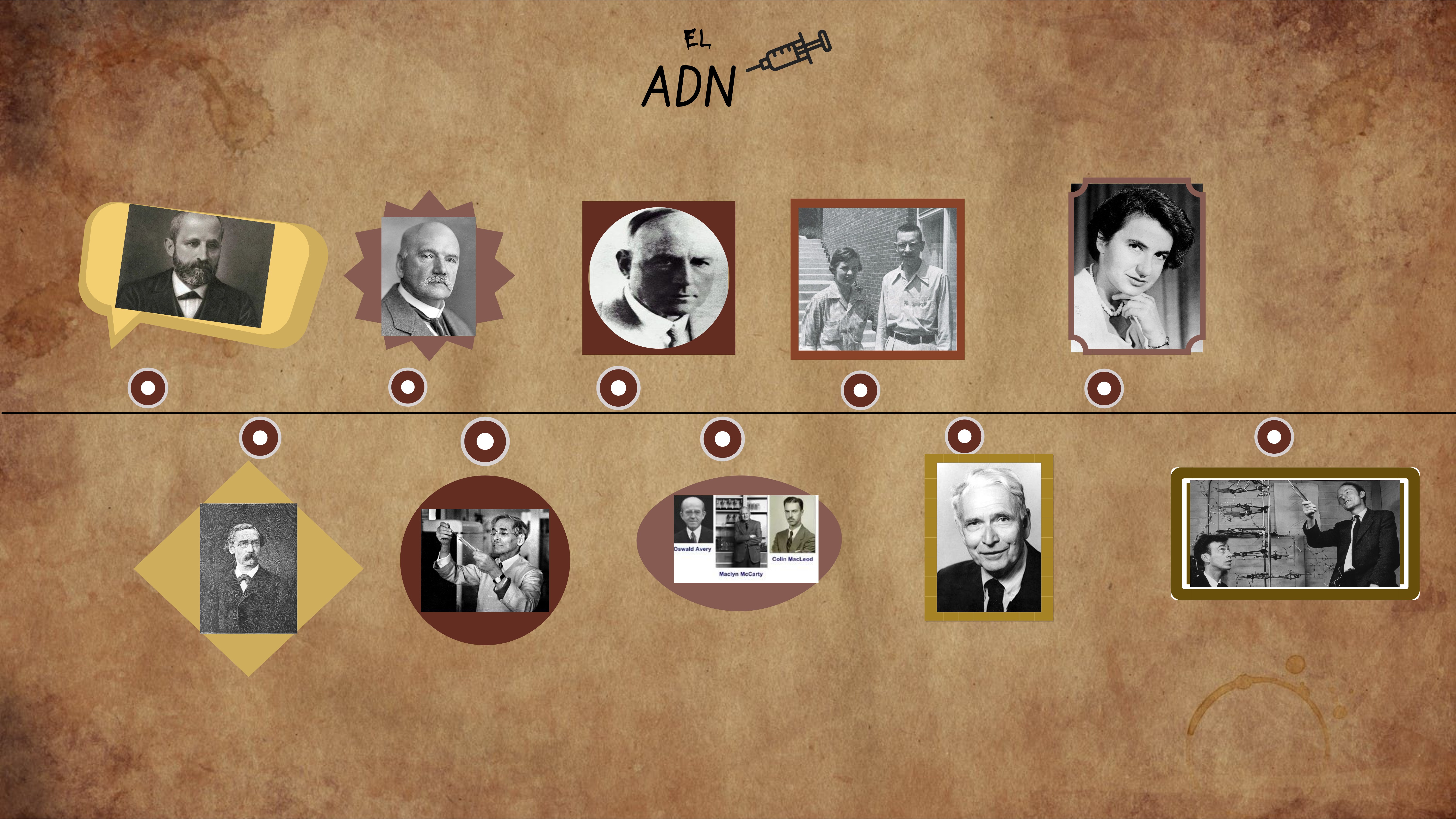 El ADN | Genially