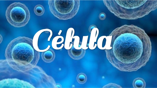 célula