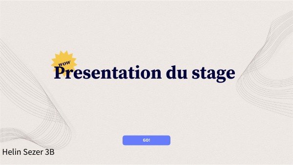 BASIC PRESENTATION | Genially