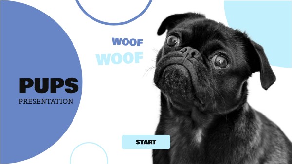 PUPS PRESENTATION