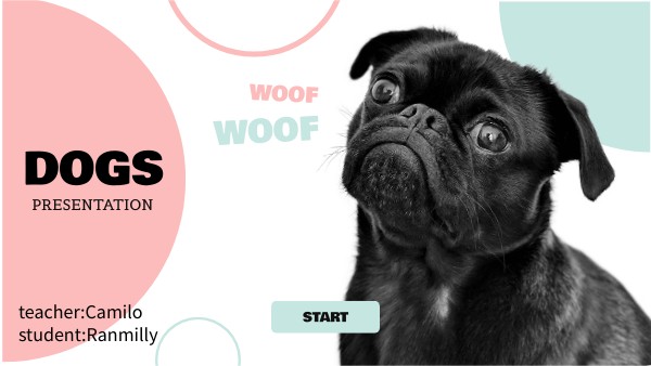 DOGS PRESENTATION
