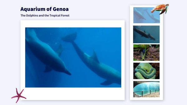 ACQUARIO DI GENOVA GRUPPO 12