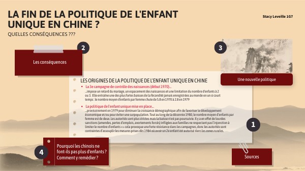 Politique de l'enfant unique