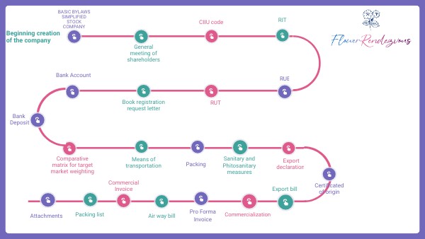 Infografia logistics | Genially