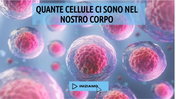 QUANTE CELLULE CI SONO NEL NOSTRO CORPO APPROFONDIMENTO